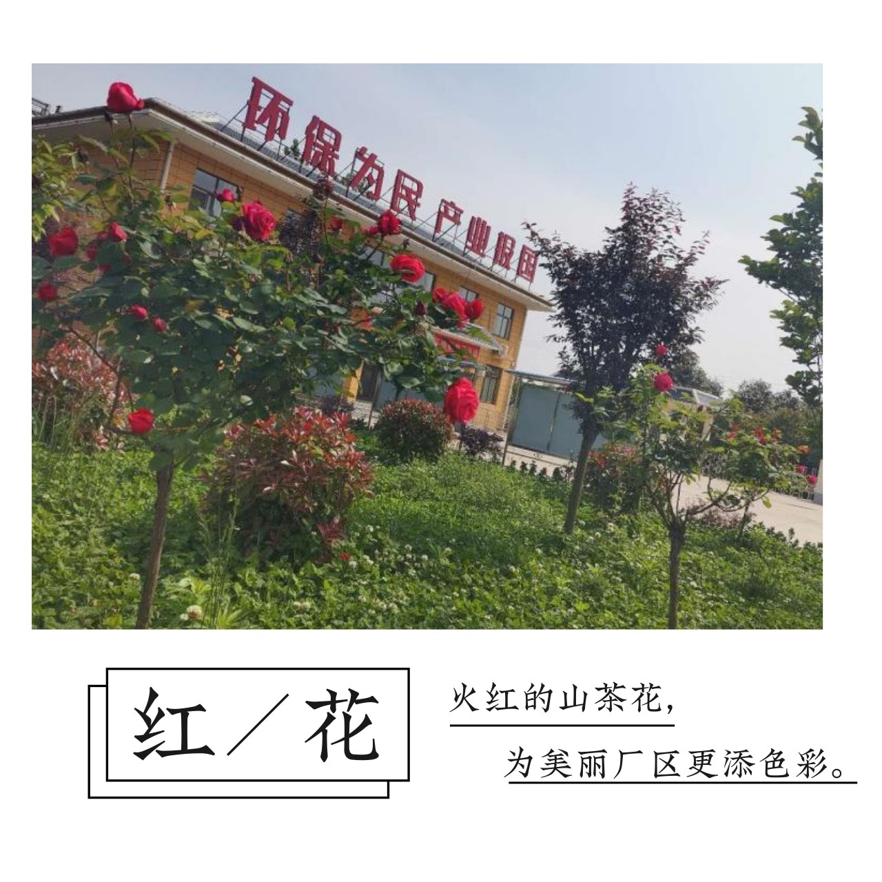 upay钱包 -轻松支付,放心选择